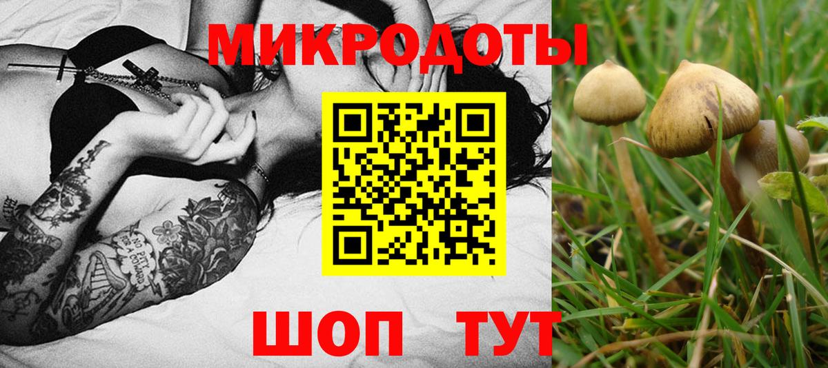 Псилоцибиновые грибы мицелий  Вход с VPN  Стрежевой  Псилоцибиновые грибы GOLDEN TEACHER 